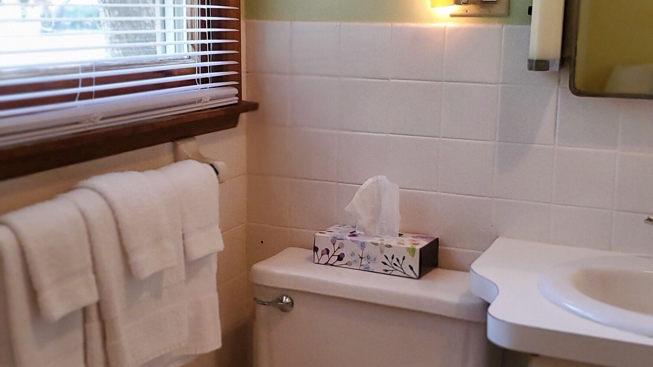 Photo of Bathroom in Maggie Valley