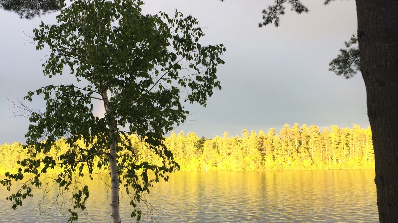 Photo of Others in Raymond