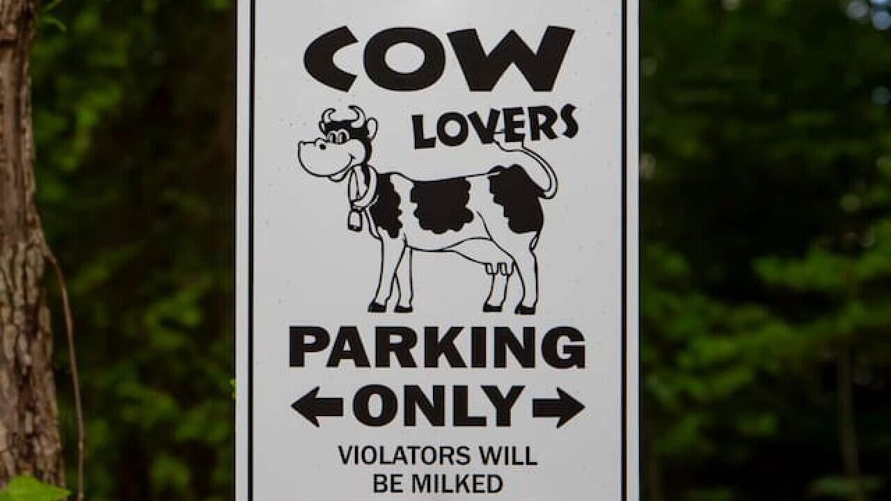 Photo of Others in Mentone