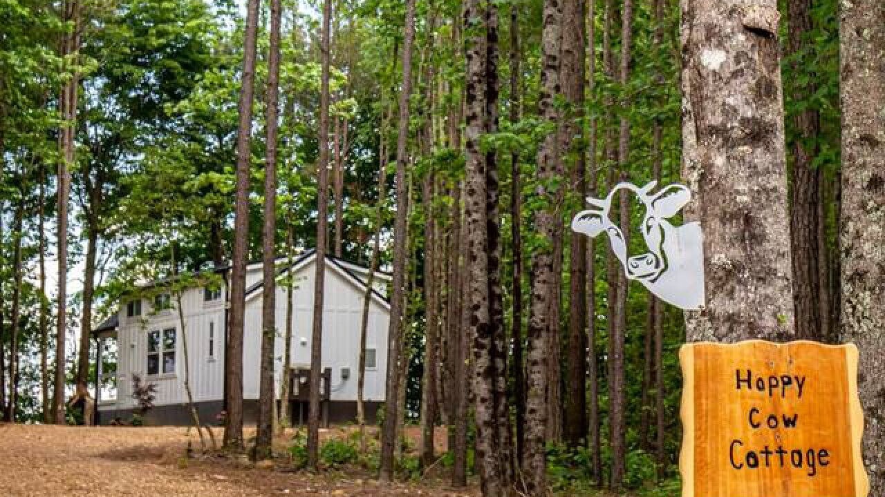 Photo of Outdoor in Mentone