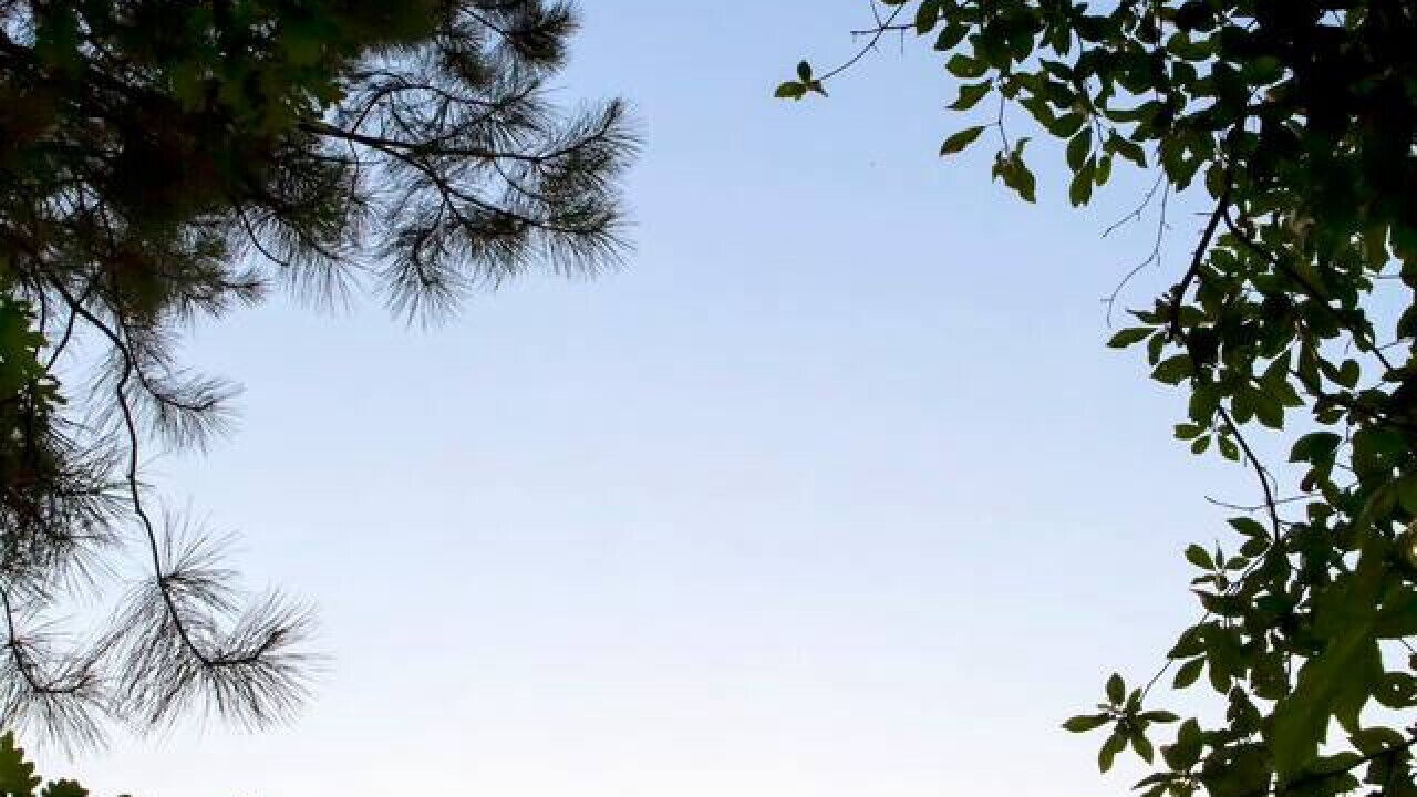 Photo of Others in Mentone