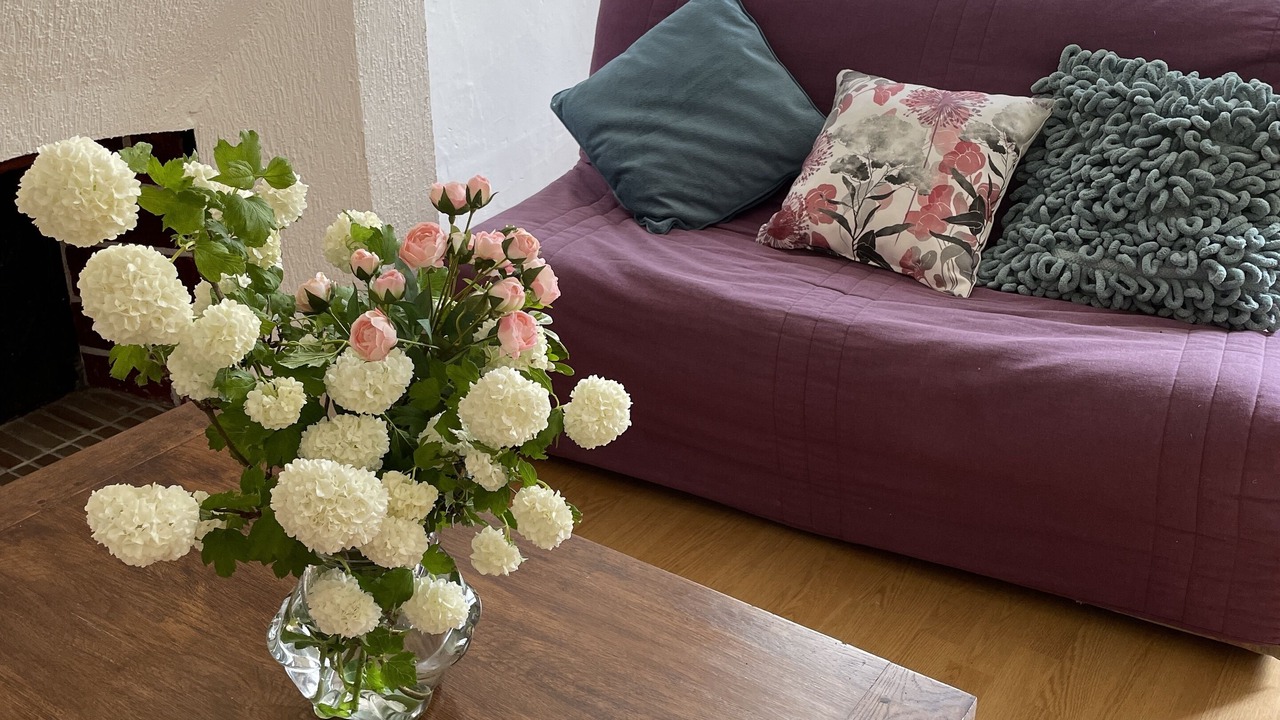 Photo of Livingroom in Druyes-les-Belles-Fontaines