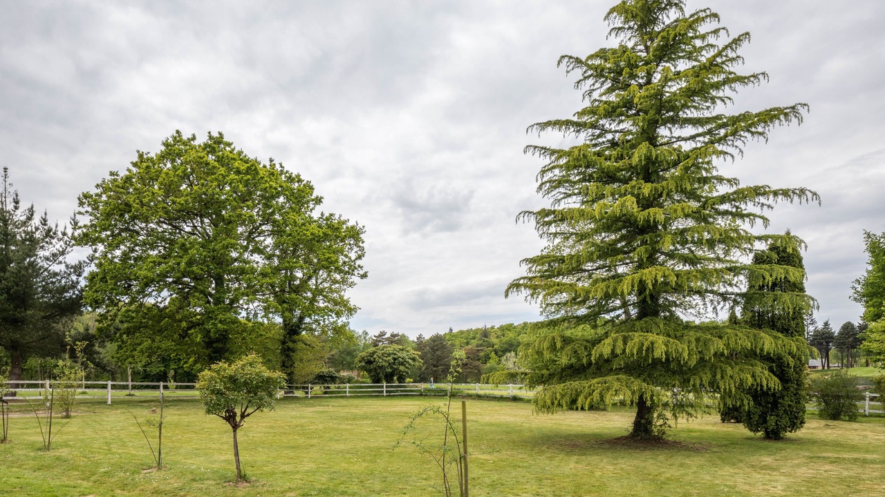 Photo of Outdoor in Le Tronchet
