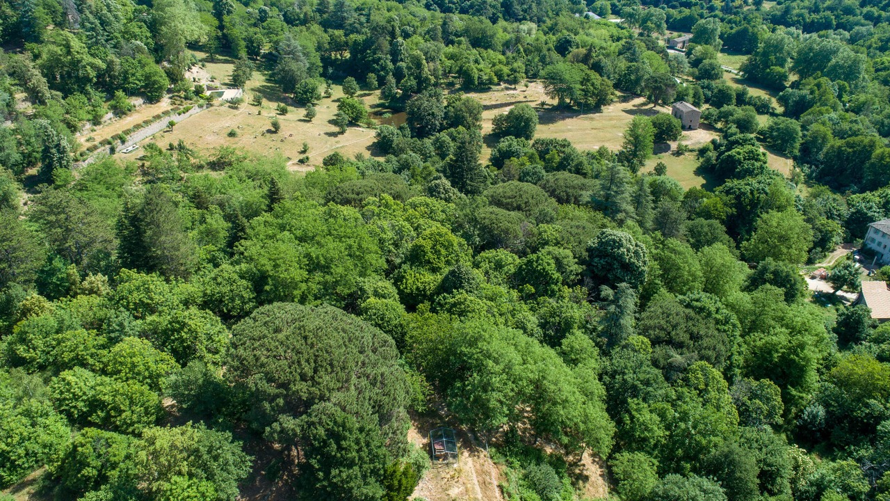 Photo of Outdoor in Colognac