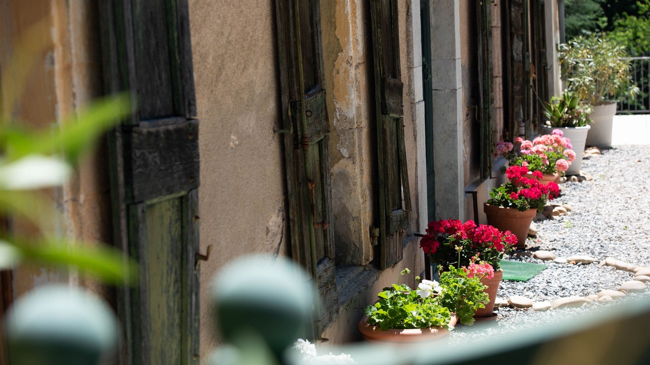 Photo of Outdoor in Colognac