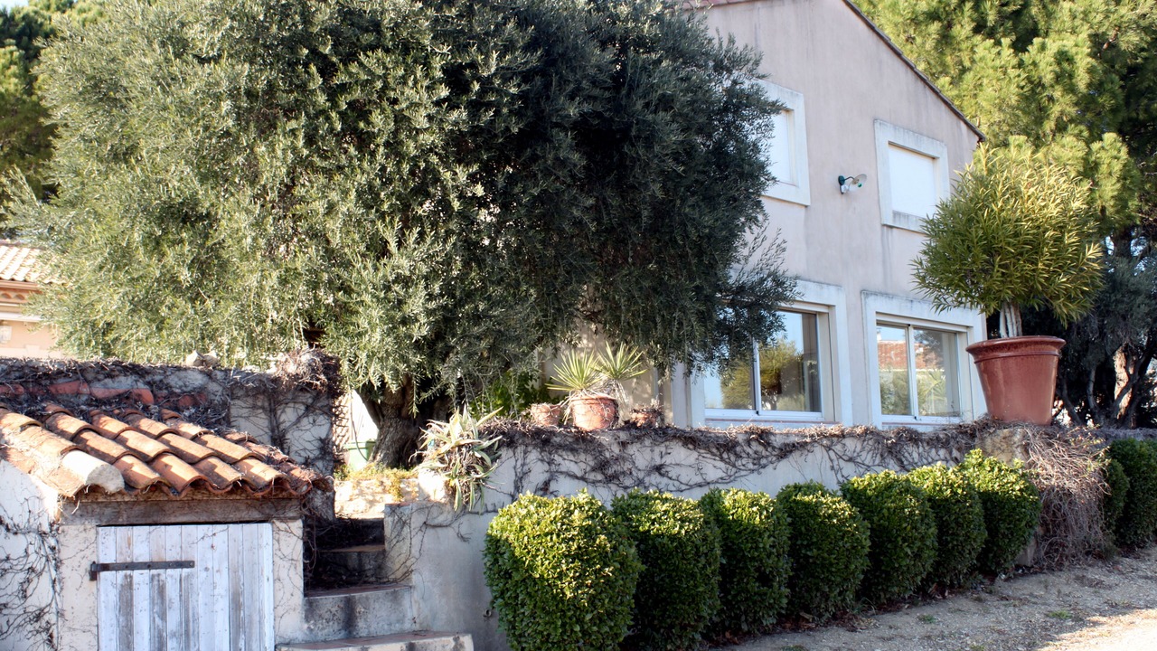 Photo of Outdoor in Montpeyroux