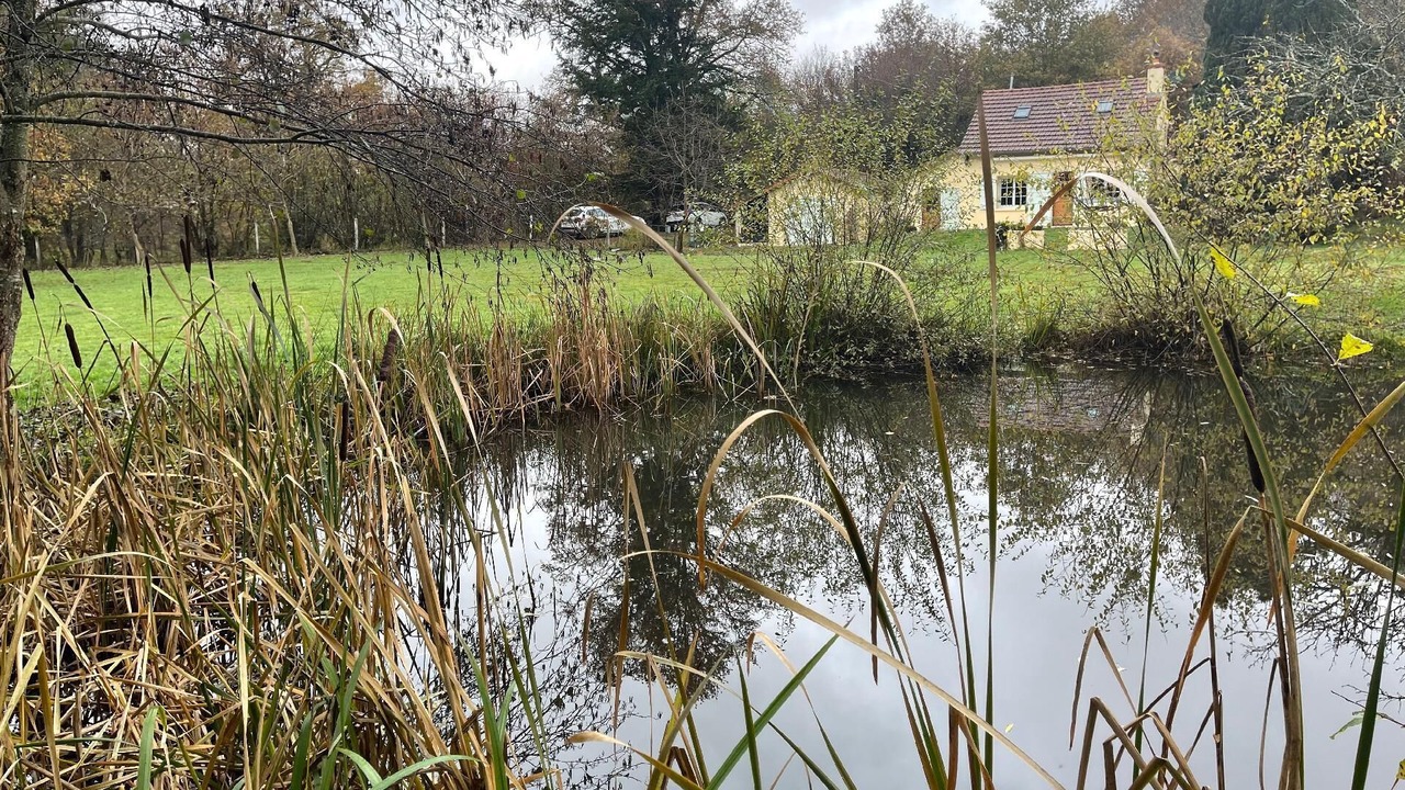 Photo of Outdoor in Saint-Berain-sous-Sanvignes
