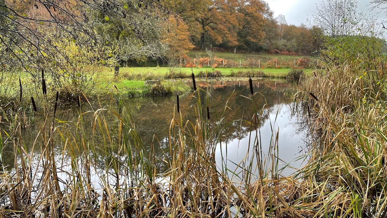 Photo of Outdoor in Saint-Berain-sous-Sanvignes