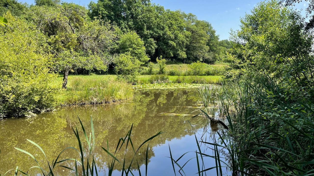 Photo of Others in Saint-Berain-sous-Sanvignes