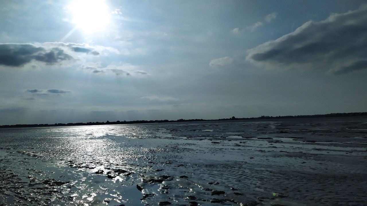Photo of Others in Le Vivier-sur-Mer