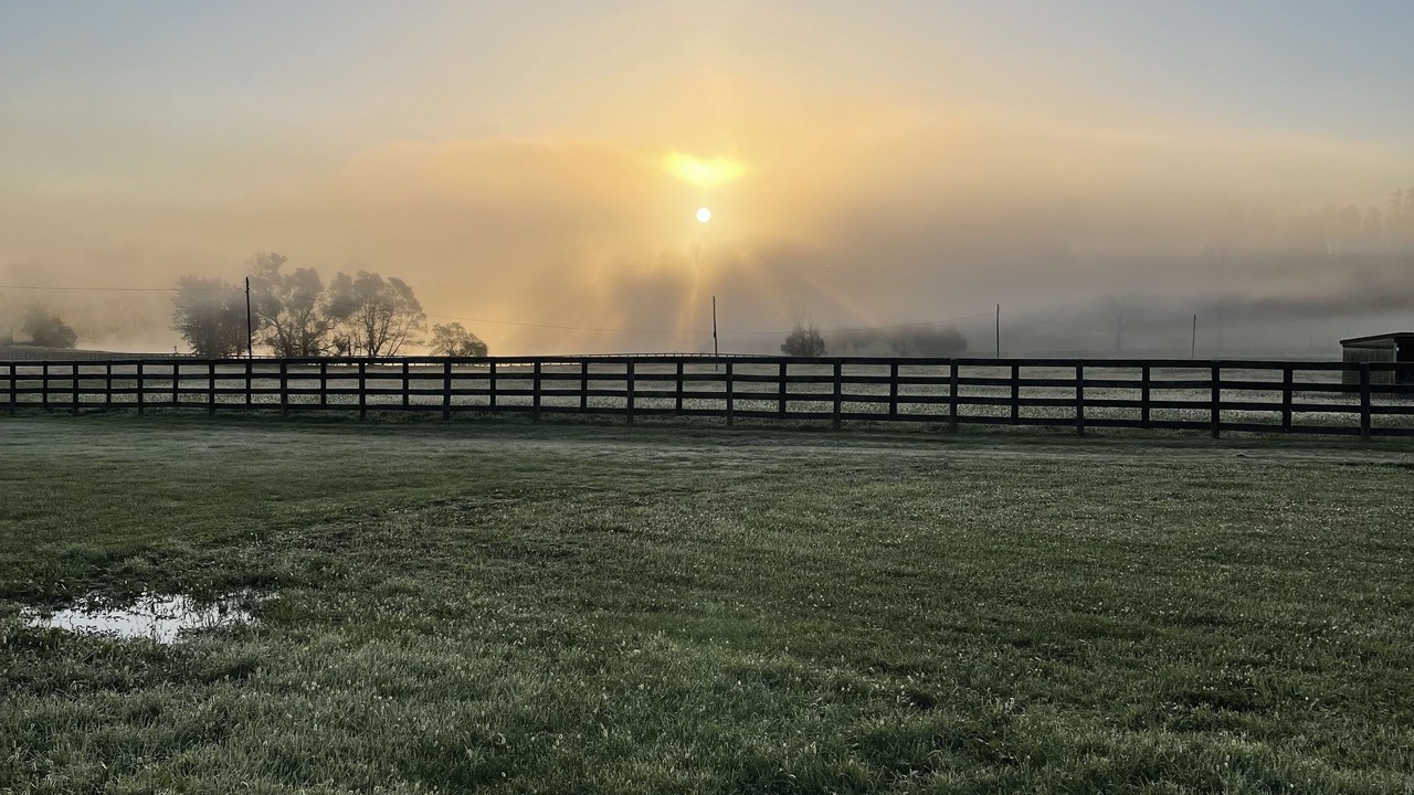 Photo of Outdoor in Arcadia