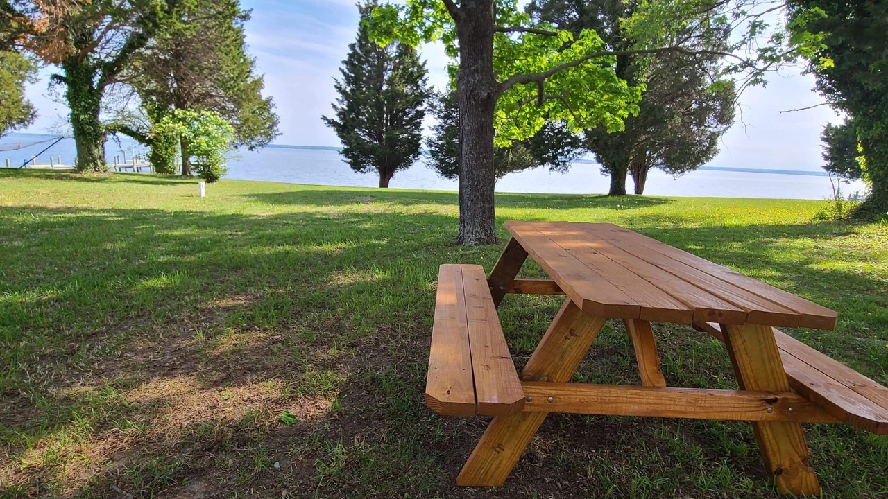 Photo of Outdoor in Coltons Point