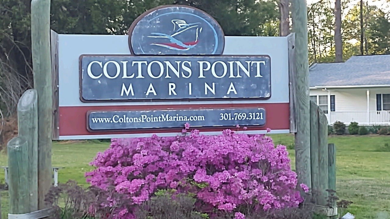Photo of Outdoor in Coltons Point