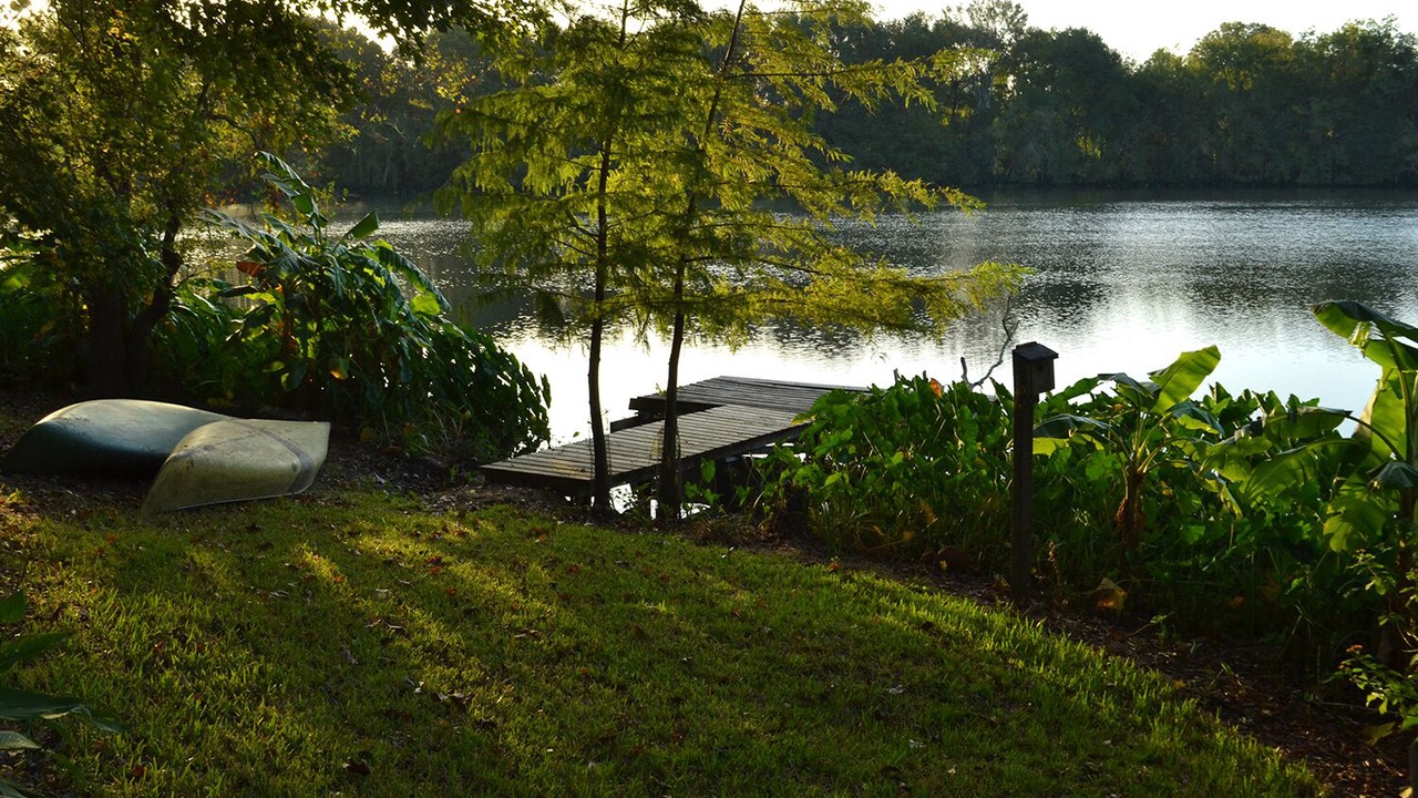 Photo of Outdoor in Sunset