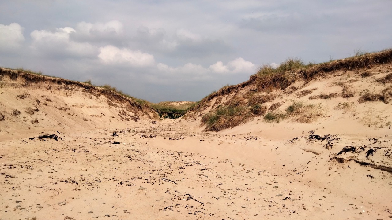 Photo of Others in Surtainville