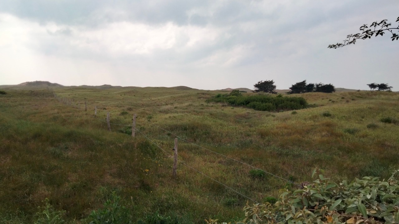 Photo of Outdoor in Surtainville