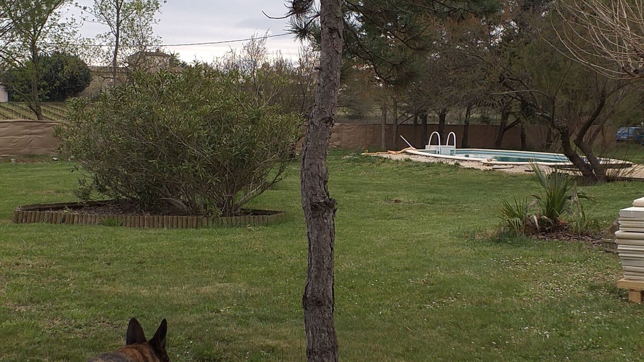 Photo of Outdoor in Saint-Hilaire-de-Brethmas