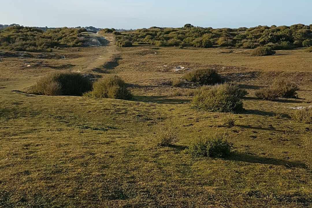 Photo of Others in Goulven