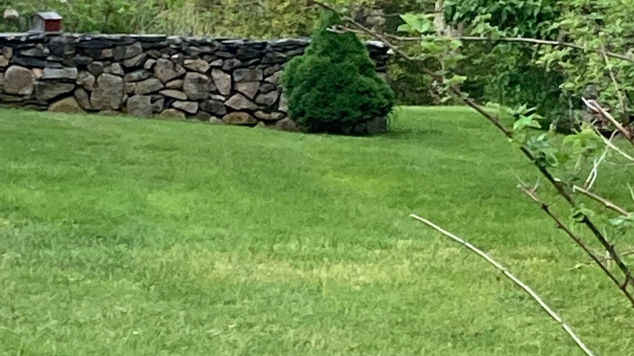 Photo of Others in Adamsville