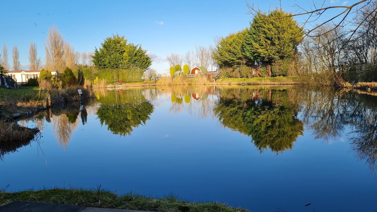 Photo of Others in Boston