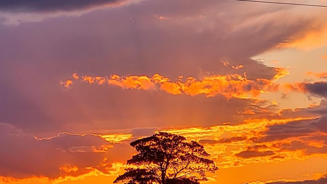 Photo of Others in Boston