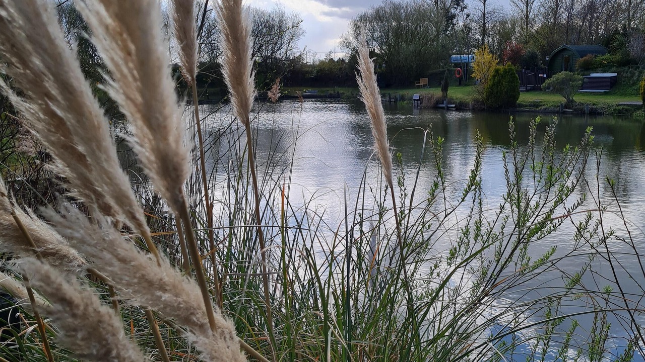 Photo of Others in Boston