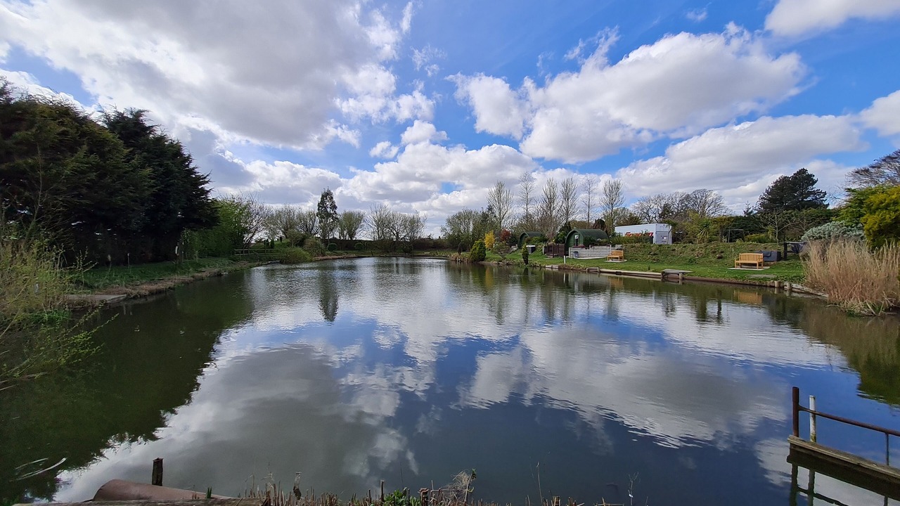 Photo of Others in Boston