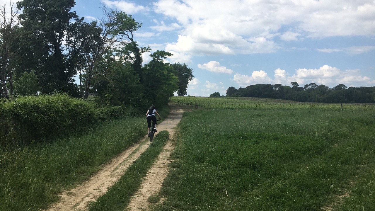 Photo of Others in Celleneuve