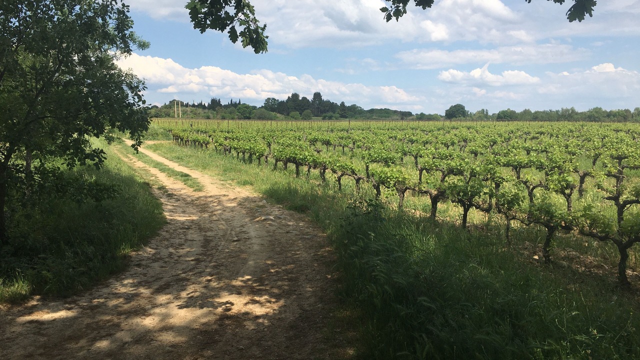 Photo of Outdoor in Celleneuve