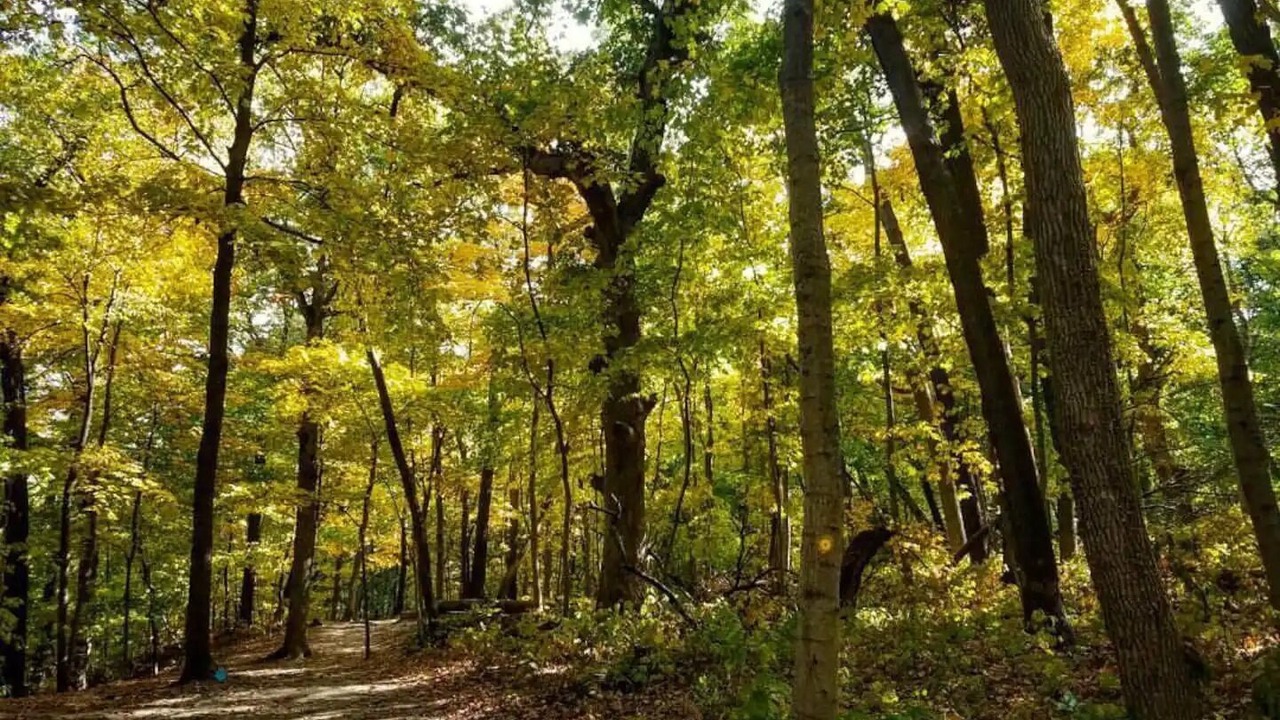 Photo of Outdoor in Oglesby