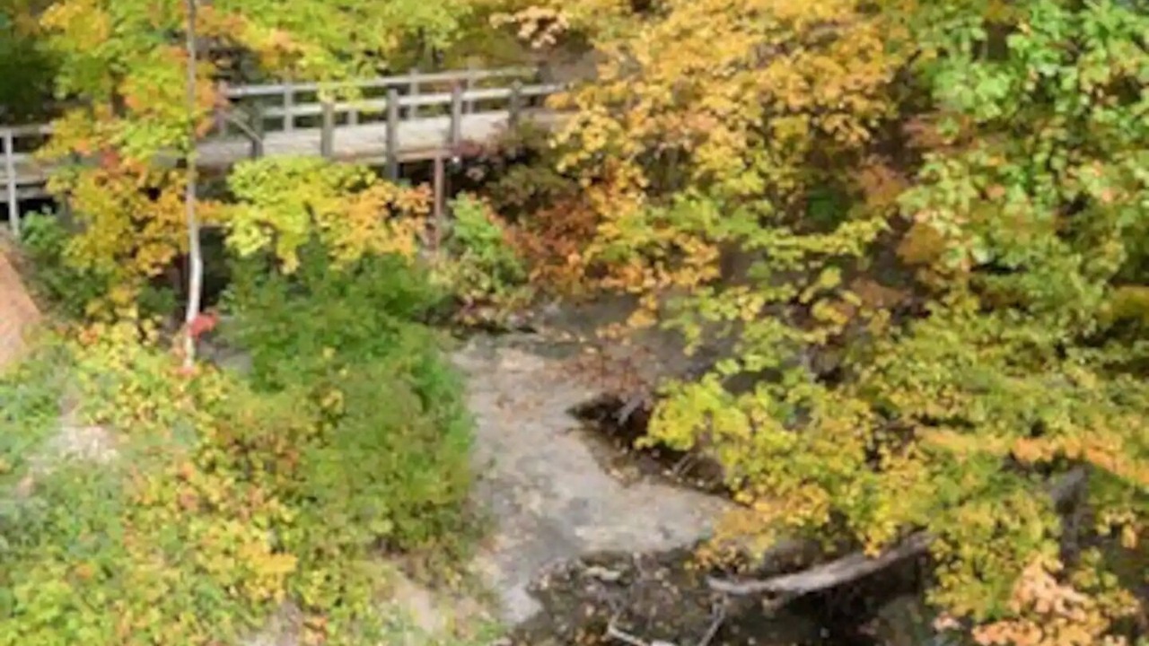 Photo of Outdoor in Oglesby