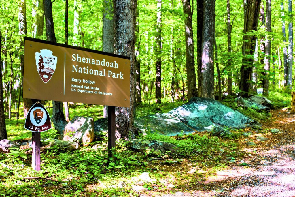 Photo of Outdoor in Shenandoah