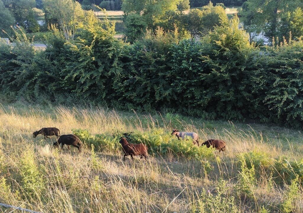 Photo of Outdoor in Colleville