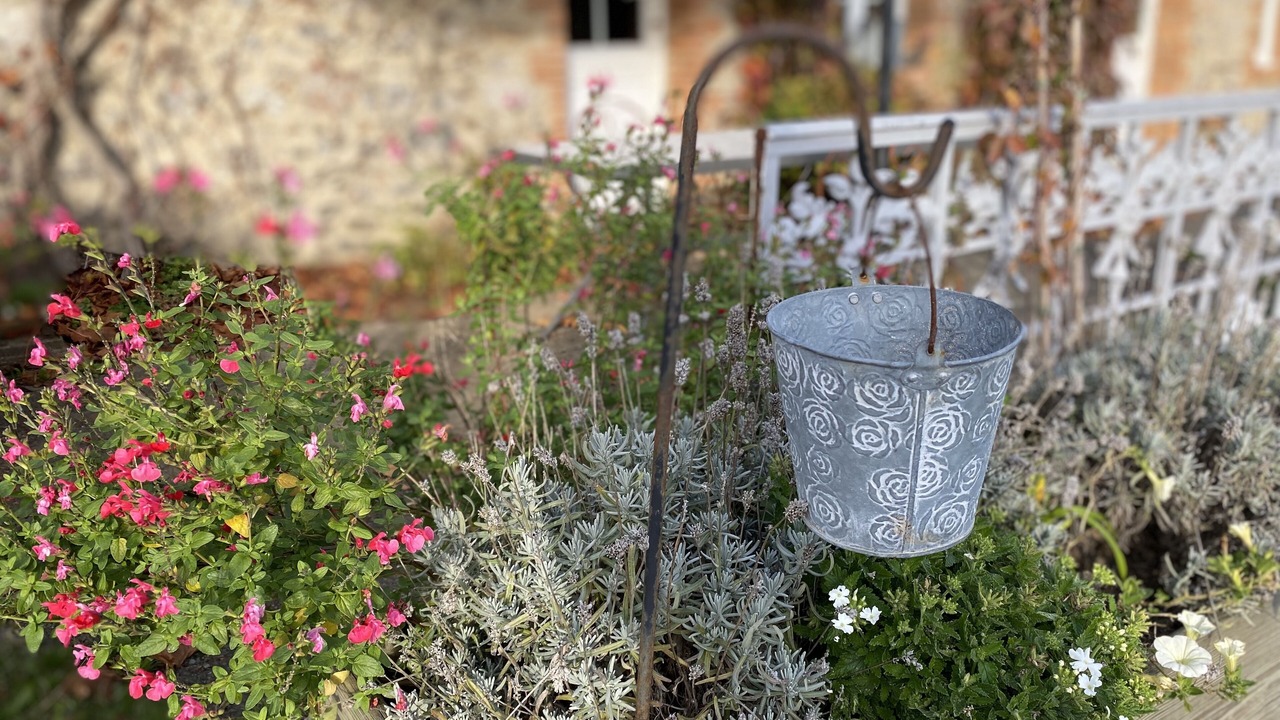 Photo of Outdoor in Cholet