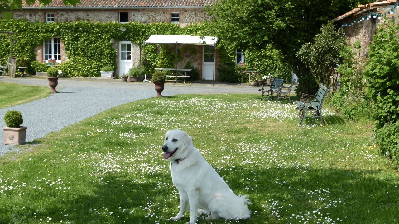 Photo of Outdoor in Cholet