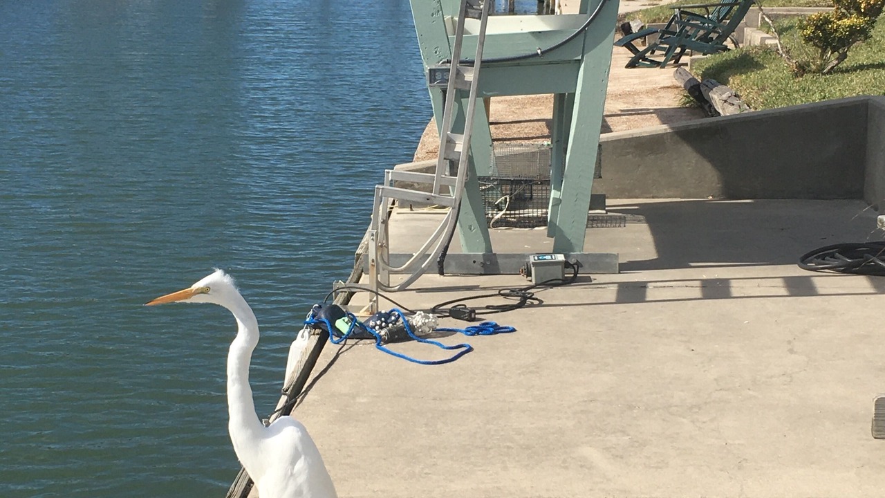 Photo of Others in City-by-the Sea