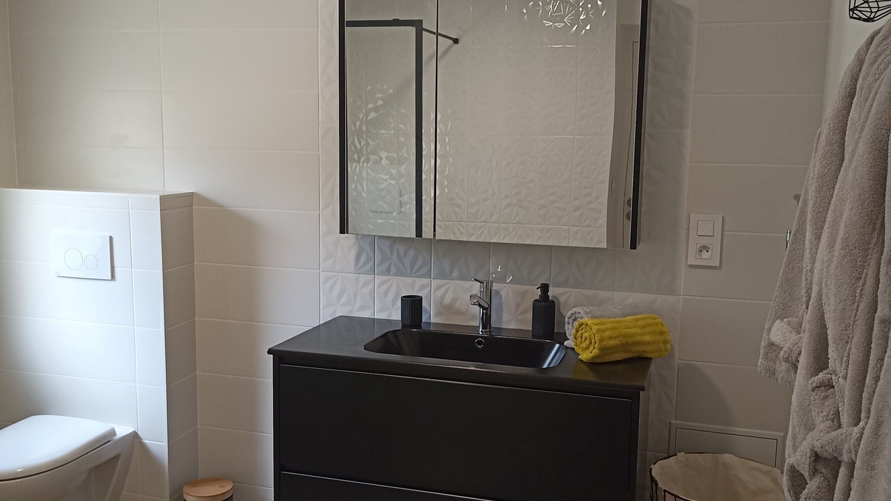 Photo of Bathroom in Saint-Clement-des-Levees