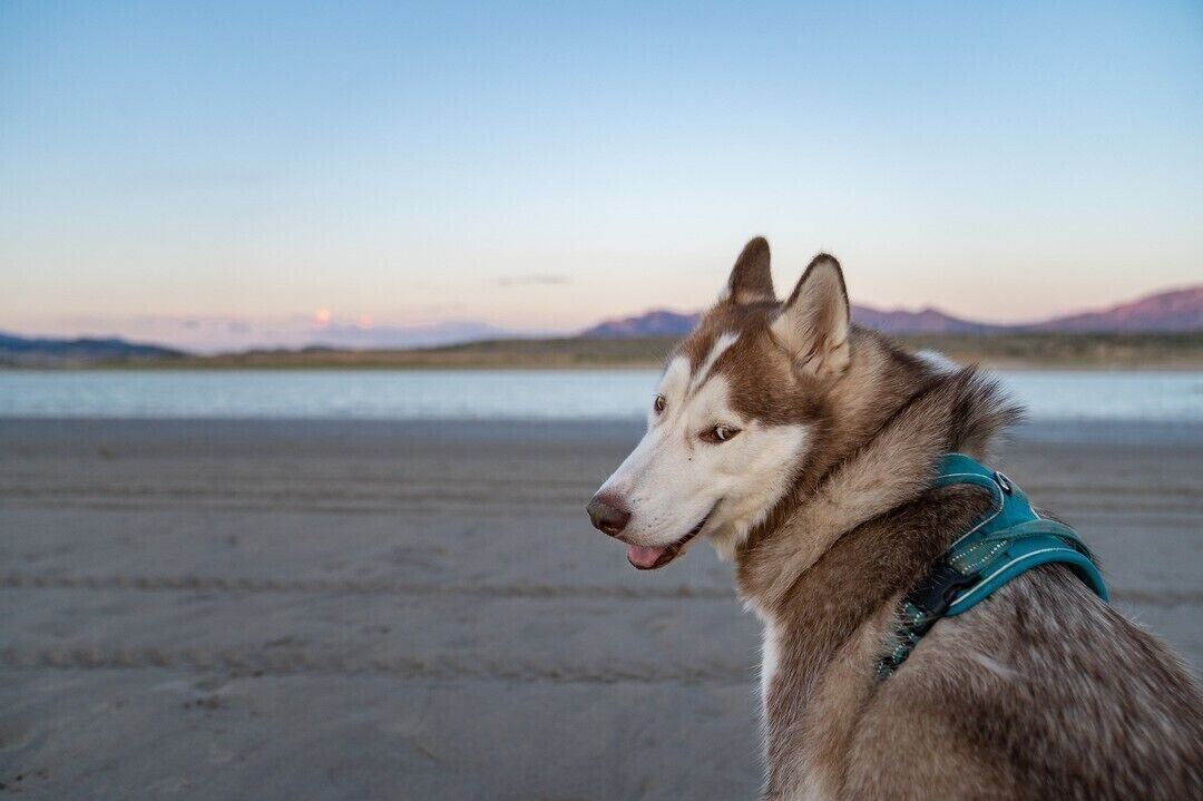 Photo of Others in Utah