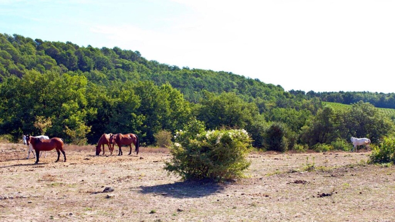 Photo of Others in Fayence