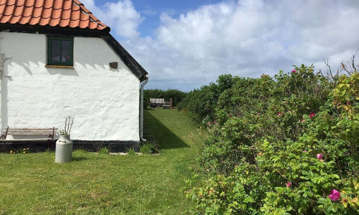 Photo of Outdoor in Trans