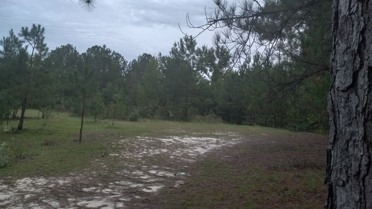 Photo of Outdoor in Cordova