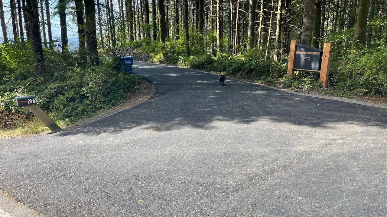 Photo of Outdoor in Kalama