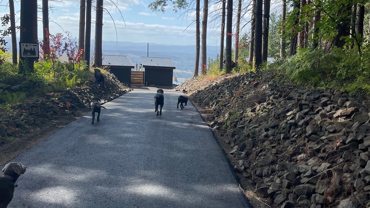 Photo of Outdoor in Kalama