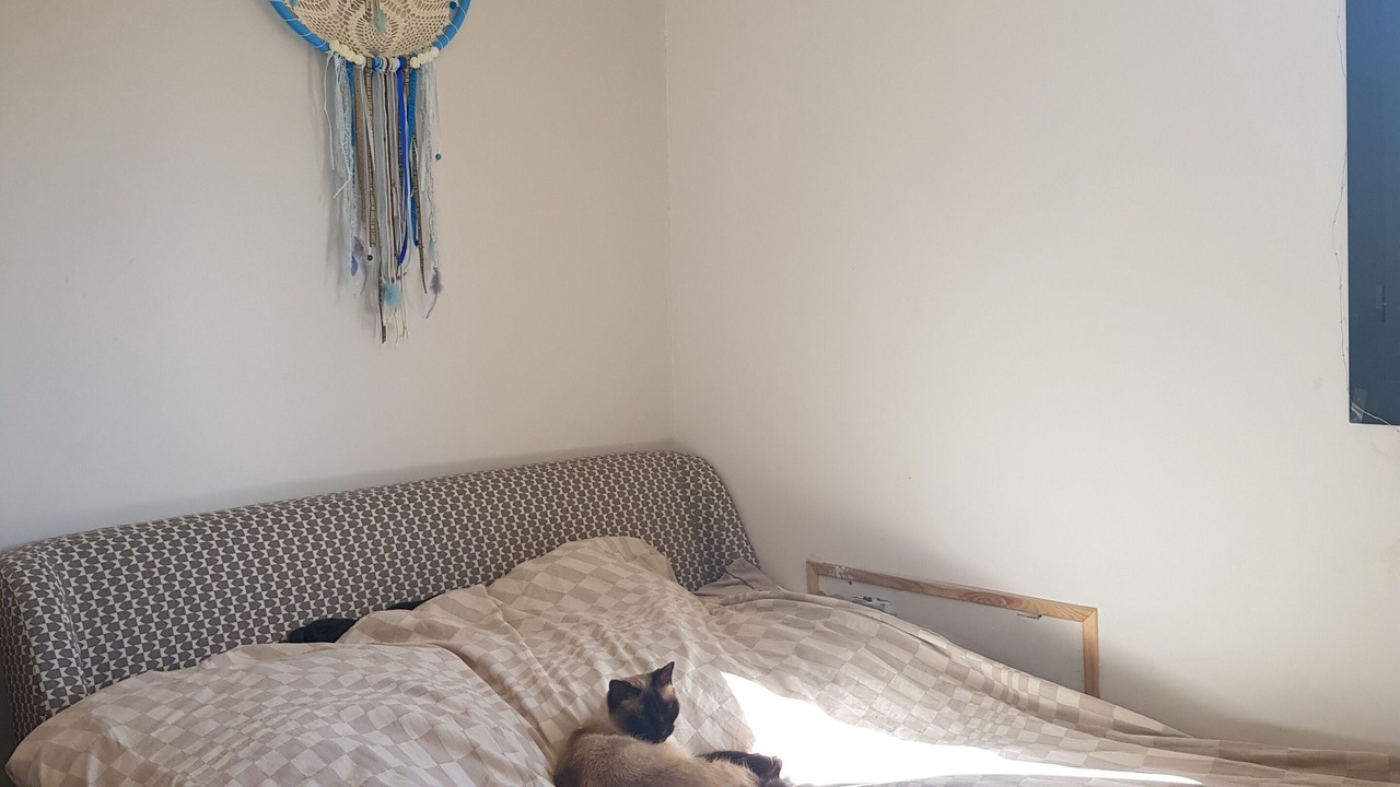 Photo of Bedroom in Saint-Gely-du-Fesc