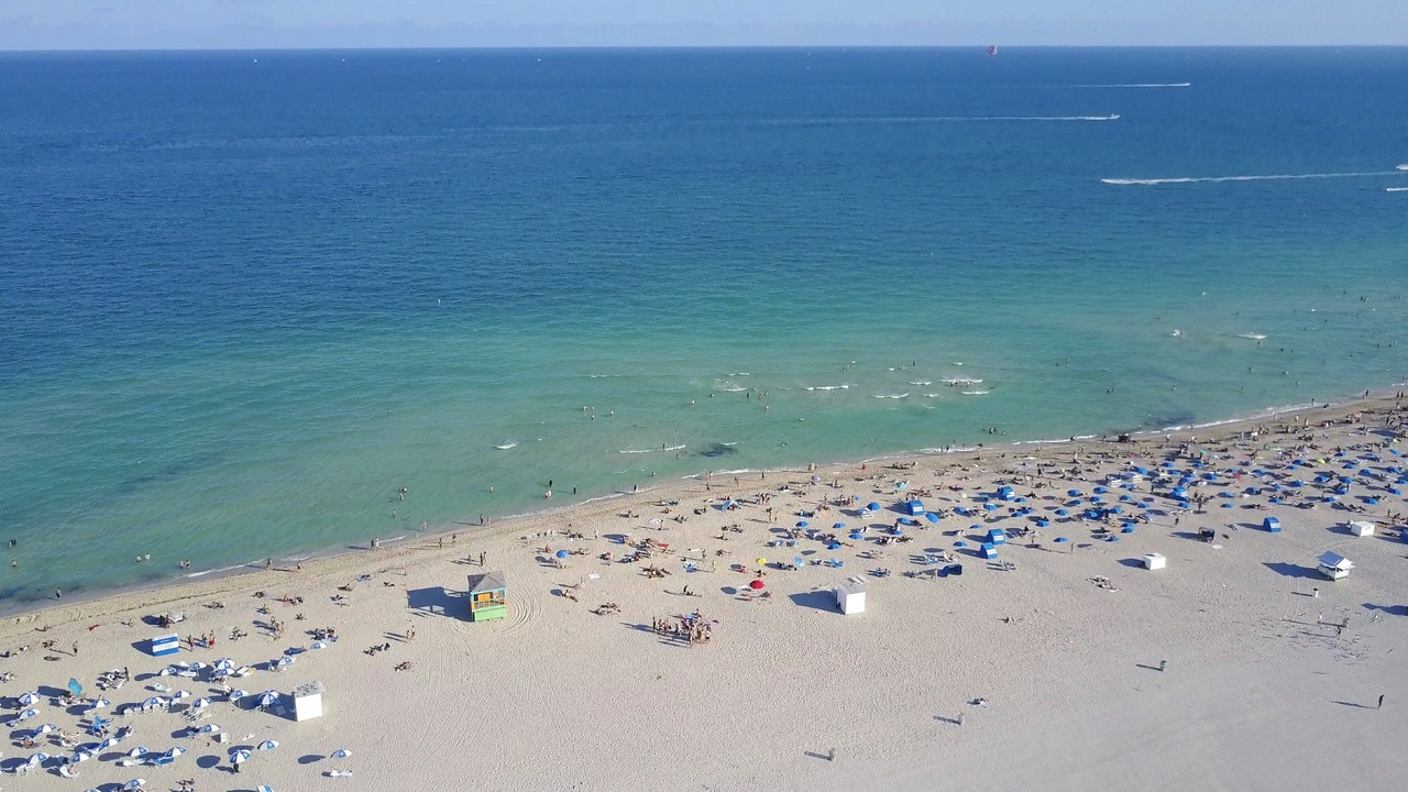 Photo of Others in South Pointe