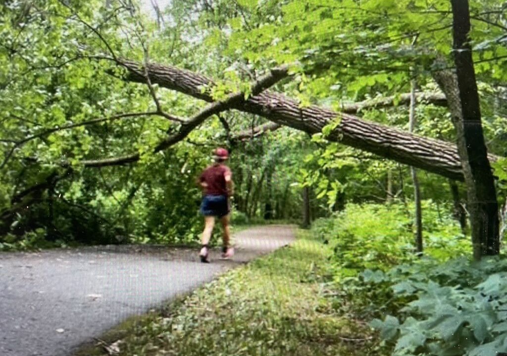 Photo of Others in Brookline Station