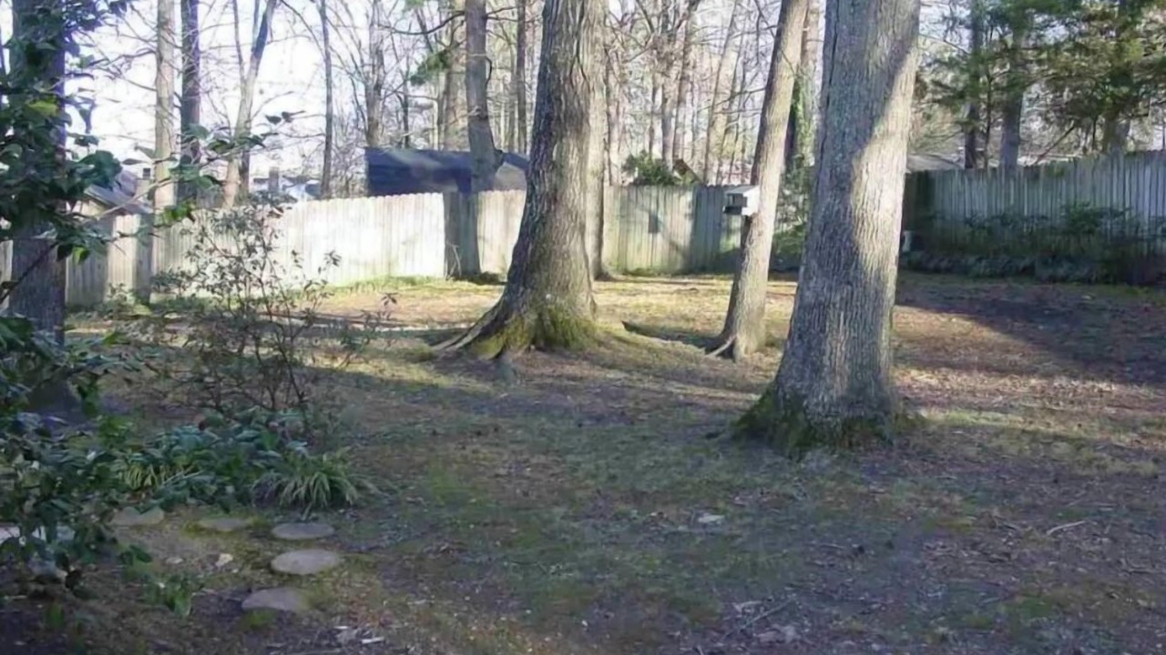 Photo of Outdoor in Bryant