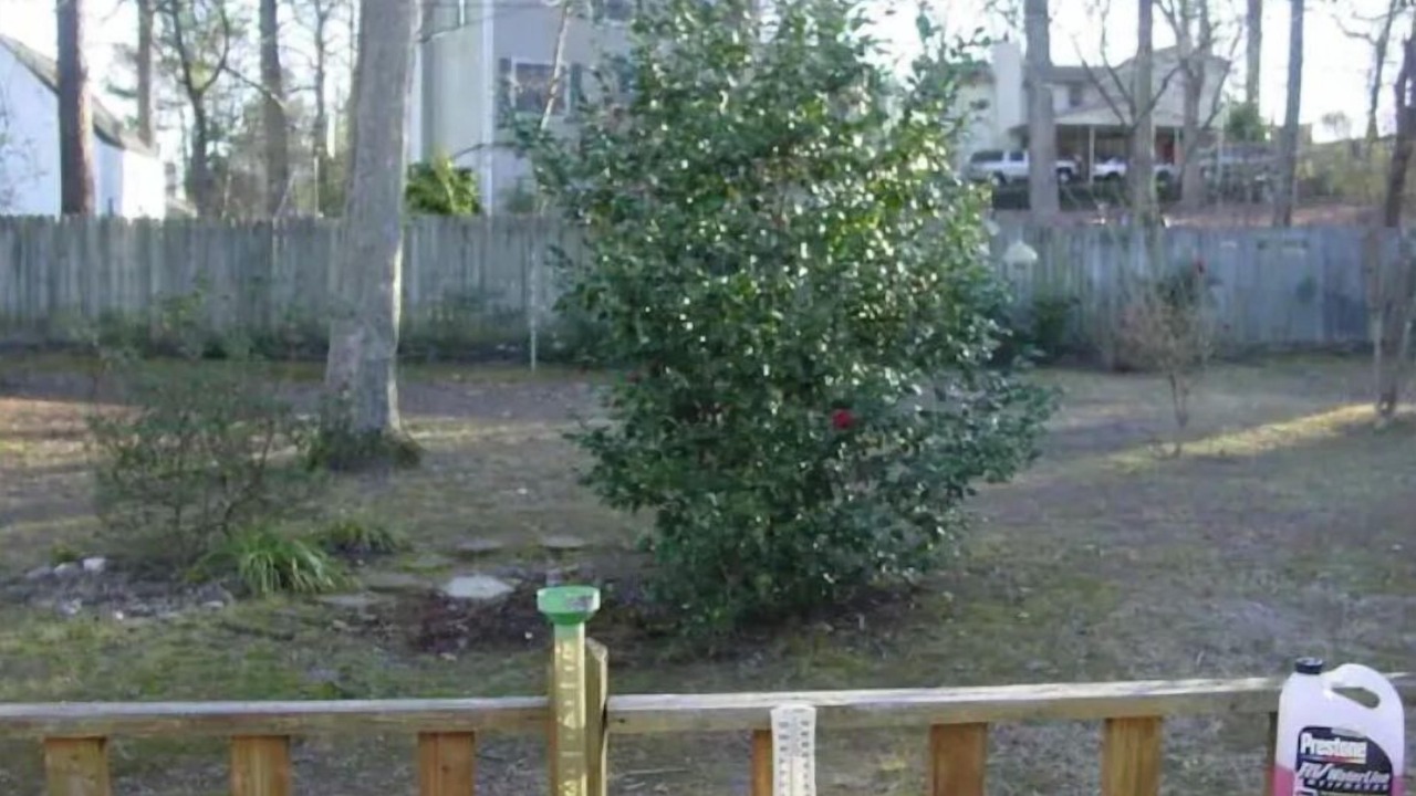 Photo of Outdoor in Bryant