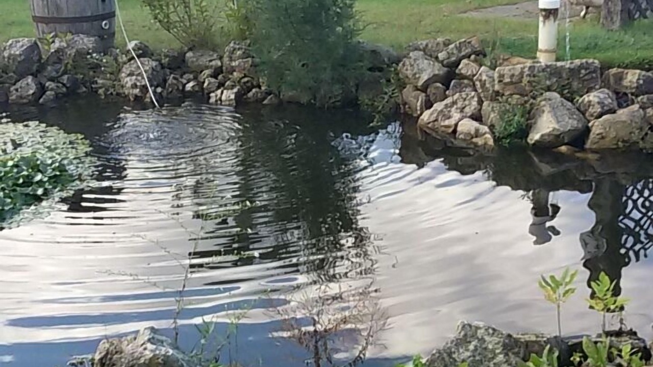Photo of Outdoor in Sparta