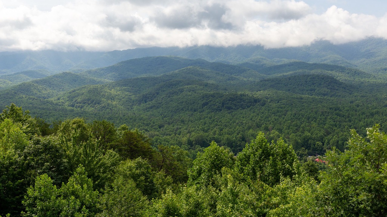 Photo of Others in Gatlinburg